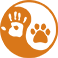 icon-akita