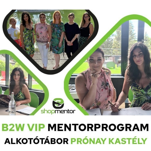 B2W VIP Mentorprogram Alkotótábor 
