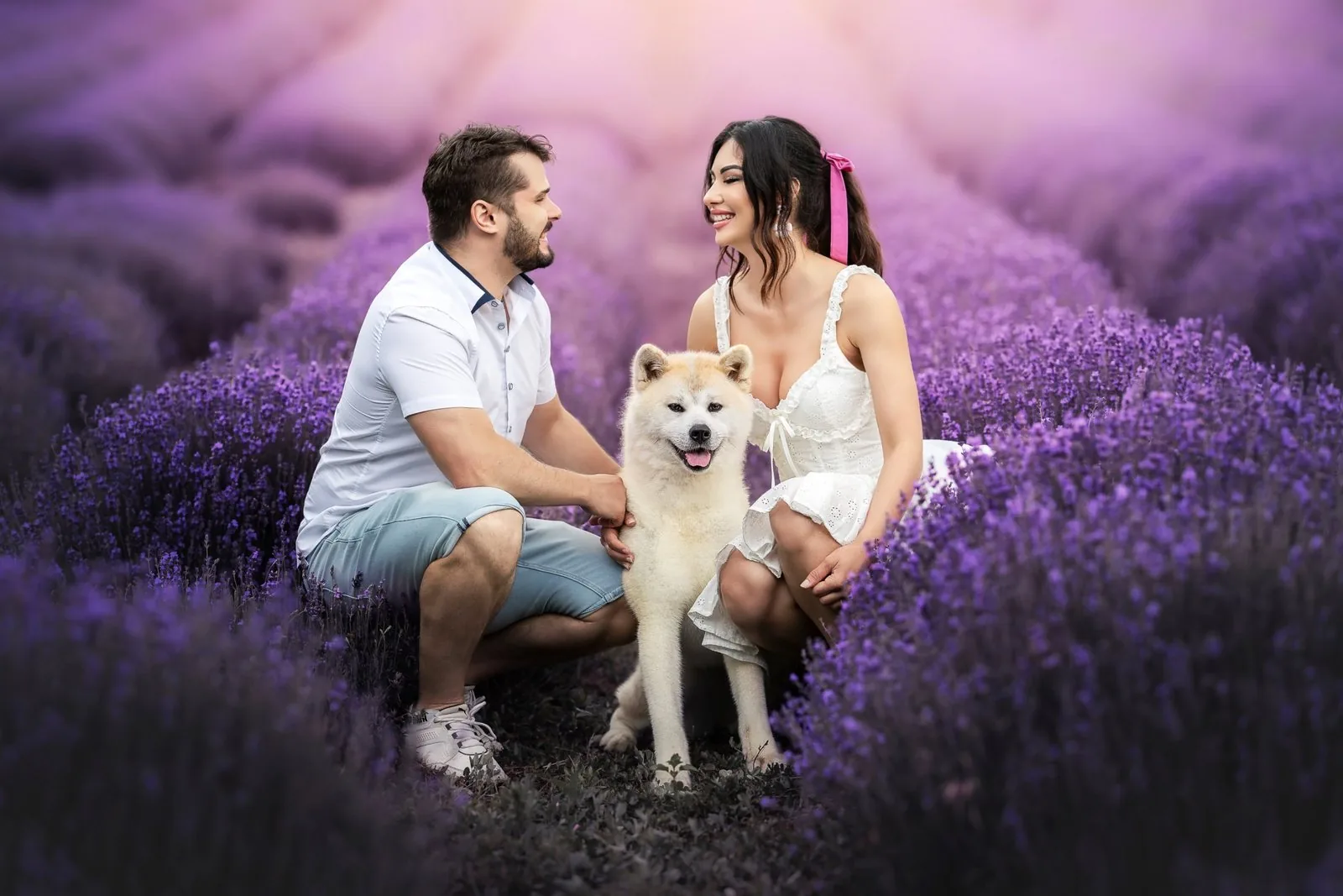 Adry, Csabi és az akitájuk egy levendulamezőn