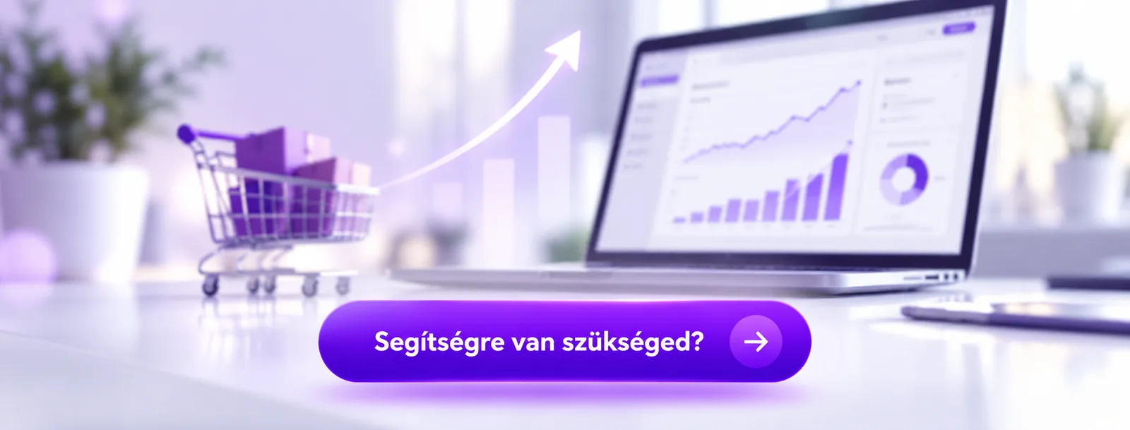 Segítségre van szükséged? – Shopmentor webshop marketing